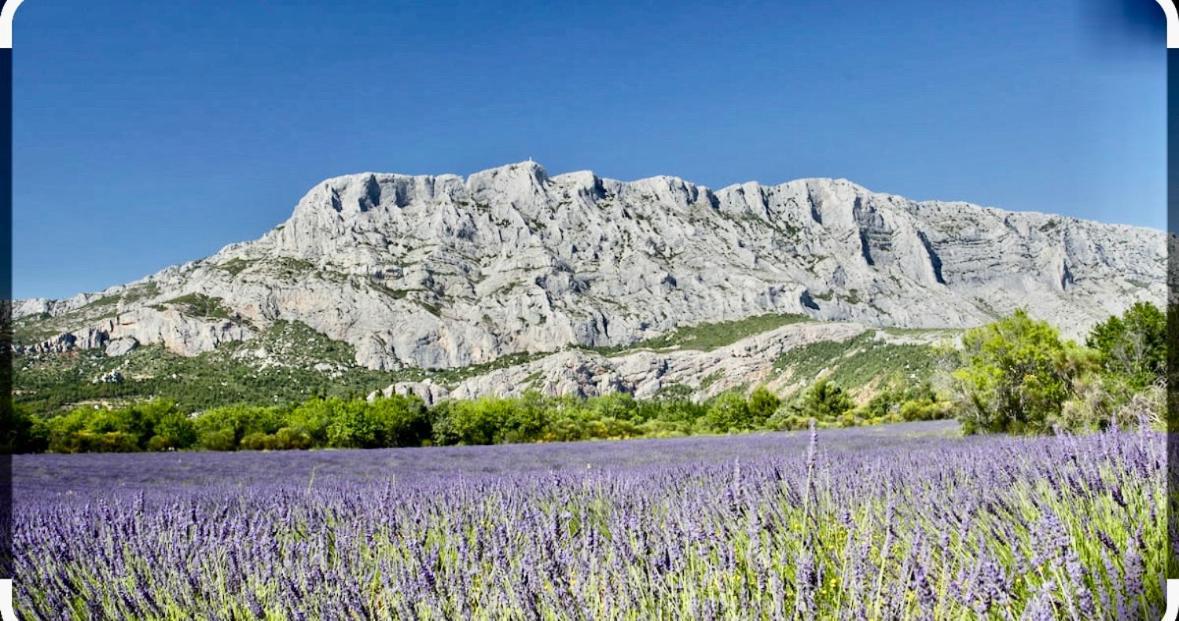 Joli Studio Le Clos D'Aix Avec Grande Terrasse Piscine Et Parking Gratuit Aix-en-Provence Eksteriør billede